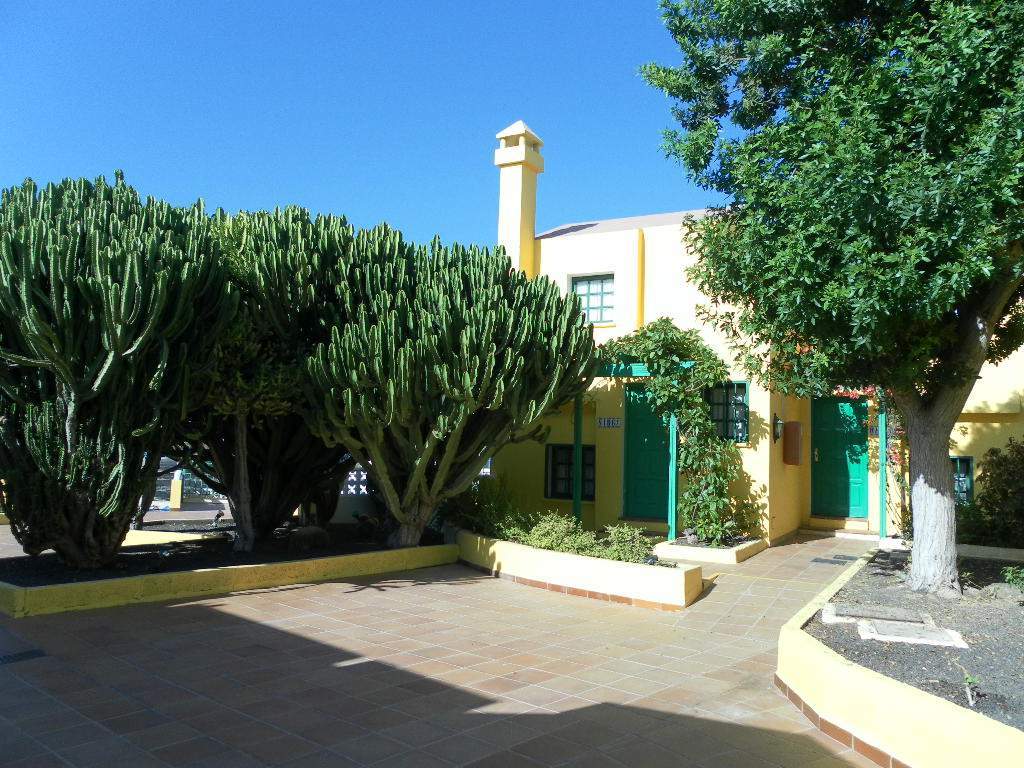 דירות קורלחו Tao Caleta Playa מראה חיצוני תמונה